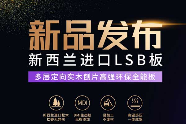 韩师傅集成家居有限公司