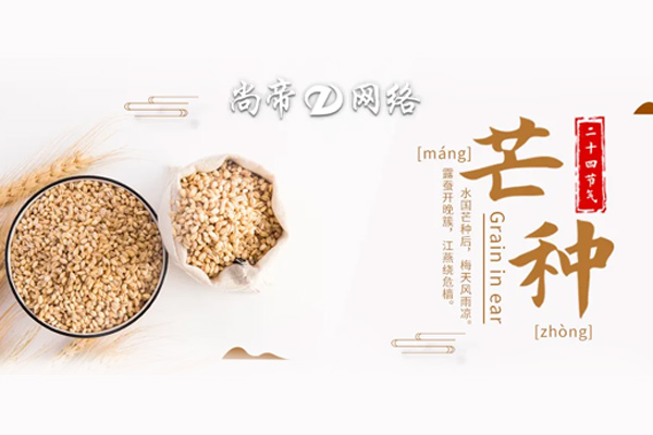 尚帝科技 | 芒种，播种当下，收获未来